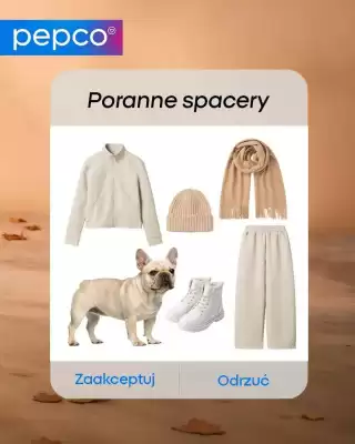 Pepco gazetka (ważność do 7-11)