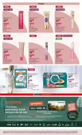 Rossmann gazetka tydzień 43 Strona 7