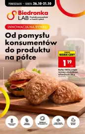 Biedronka gazetka tydzień 44 Strona 49