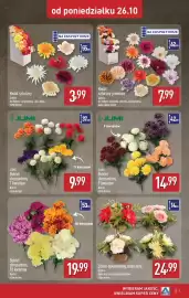 ALDI gazetka | Szeroka oferta zniczy w super cenach Strona 7: JUMI Bukiet chryzantem €14,99, Bukiet chryzantem €19,99