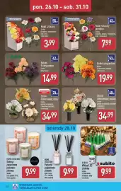 ALDI gazetka tydzień 44 Strona 34: Kwiat sztuczny premium €7,99, Stroik dekorowany, wazon €34,99