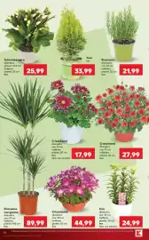 Catalog Kaufland săptămâna 44 Pagină 14