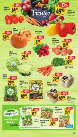 Albert leták týden 44 Strana 19: Dýně mexická €59,90, Albert salát rodinný mix €49,90
