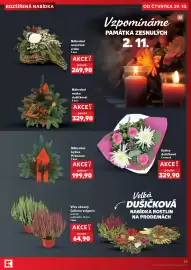 Kaufland leták týden 44 Strana 53