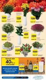 Tesco akciós újság hét 44 Oldal 13: Mindenszentek kompozíció €4.999,00, Krizantém €2.999,00