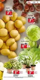 Folleto Dia semana 44 Página 5: 296356 Dia DEL 28/10 AL 03/11 5 Patates • Cat. I Ara -33% 299 4,49€ 0,75 €/kg 1,12 €/kg 4 kg
