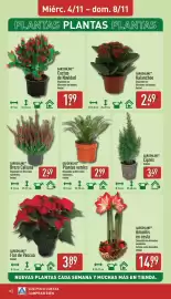 Folleto ALDI semana 45 Página 16: Gardenline Kalanchoe €2,49, Gardenline flor de pascua €3,89