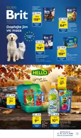 Tesco leták týden 44 Strana 13: Brit kapsičky pro kočky €159,90, Brit zubní tyčinky pro psy €64,90