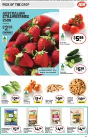 Ritchies catalogue week 44 Page 11: Australian Cos Lettuce Twin Pack €2,99, Community Co Baby Potatoes with Herb Butter €4,80