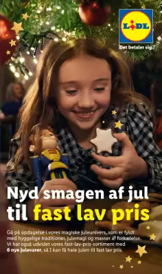 Lidl (gælder indtil 1-01)