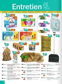 Catalogue Maximo page 82: FLAMER Cubes végétaux €3,70, Lotus Moltone €16,48