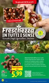 Volantino Lidl settimana 44 Pagina 4: Marroni di Serino IGP €5,99
