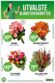 Kiwi kundeavis uke 44 Side 7: FAVORITTBUKETT €199,00, TULIPANER €149,00