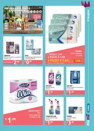 Volantino Smoll Pagina 13: IRGE Deumidificatore €0,99, WC NET Brilliant igiene & freschezza €1,85
