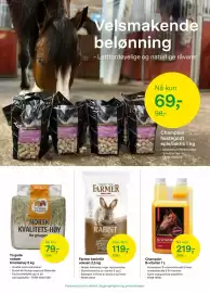 Felleskjøpet kundeavis Side 3: Champion B-vitamin 1 L €219,00, To gode naboer timoteihøy 2 kg €79,00