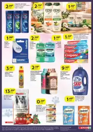 Folheto Spar Página 8: Champô linic men €2,89, Elixir listerine dentes & gengivas €2,39