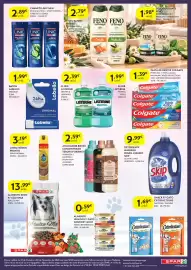 Folheto Spar Página 8: Pasta de dentes colgate €1,39, Champô linic men €2,89