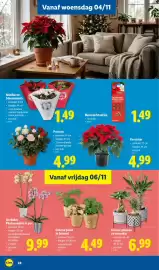 Lidl folder week 45 Pagina 28: Meststofstaafjes €1,49, Kerstster €4,99