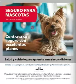 Catálogo Costco semana 44 Página 4