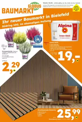 Globus Baumarkt (gültig bis 31-10)
