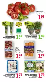 Scheck-in-Center Prospekt woche 44 Seite 19