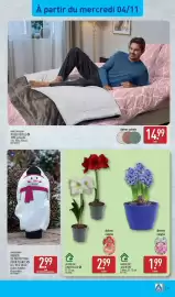 Catalogue ALDI semaine 45 page 37: HOME CREATION PLAID CÔTELÉ €14,99, GARDENLINE AMARYLLIS €2,99