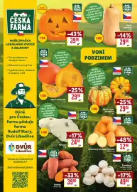 Billa leták týden 44 Strana 4: Česká Farma Dýně Hokkaido €29,90, Česká farma dýně mexická €39,90