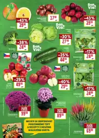 Billa leták týden 44 Strana 5: Česká Farma Jablko červené €49,90, Milk ready sezonní salát €24,90