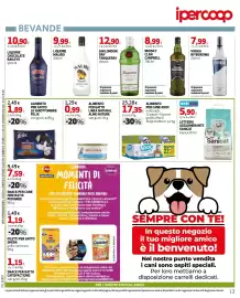 Volantino Ipercoop Pagina 13