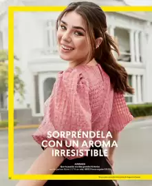 Catálogo Cyzone Página 22