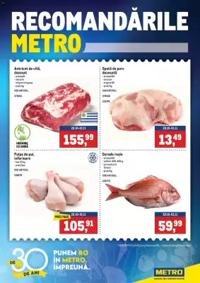 Catalog Metro (valid până la 2-11)