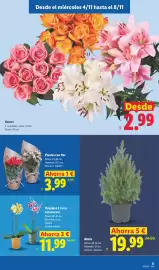 Catálogo Lidl | Alimentación Página 23: Orquidea 2 varas con maceta €11,99, Plantas con flor €3,99