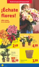 Catálogo Lidl | Alimentación Página 38