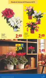 Catálogo Lidl | Alimentación Página 39