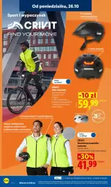 Lidl gazetka tydzień 44 Strona 10