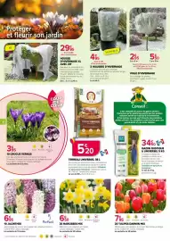 Catalogue Kiriel page 4: TULIPES DARWIN MIX €7,95, NARCISSES MIX €6,50