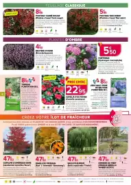 Catalogue Kiriel page 6: SAULE PLEUREUR (Salix sepulcralis 'Tristis') €47,00