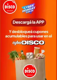 Folleto Disco Página 5