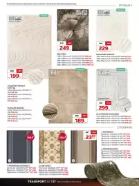 Komfort gazetka Strona 3: CALVIN KLEIN CK 07 ODENSE CREAM GREY €299,00, Microfiber 3D Beige €229,00