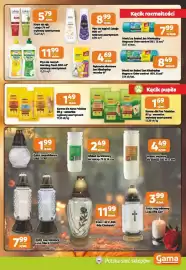 Jaskółka gazetka Strona 9: Karma dla Kota Friskies €1,49, Magnum Odor control €8,49