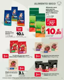 Folleto Carrefour Página 5: Friskies Active, Maxi o Balance €10,80, Brekksies alimento seco para perros adulto €10,92
