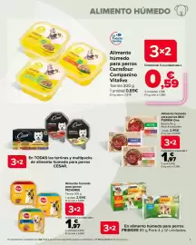 Folleto Carrefour Página 7: Pedigree Alimento húmedo para perros €1,97, Purina one alimento húmedo para perros mini €1,97
