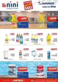 Catálogo Nini Mayorista semana 44 Página 10: Hth flotador advanced €18.999,00, Ayudin lavandina frag. €2.899,00