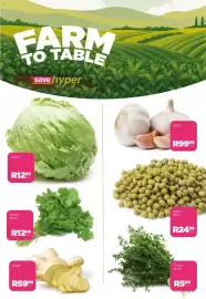 Save catalogue Page 5: FARM TO TABLE save hyper Lettuce R1299 Dhania Bunch R1299 Ginger R5999 Garlic R9999 Green Dholl