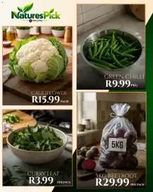Take 'n Pay catalogue Page 10: Green Chilli €9,99, Curry Leaf €3,99