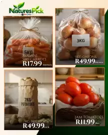 Take 'n Pay catalogue Page 12