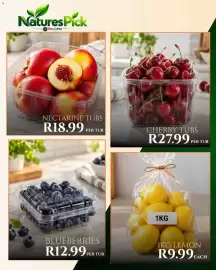 Take 'n Pay catalogue Page 4: NECTARINE TUBS €18,99, 1KG LEMON €9,99