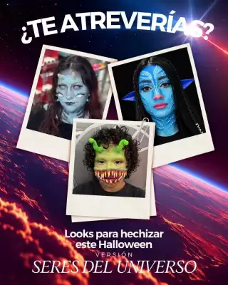 Bellisima (válido hasta 27-10)