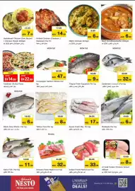 Nesto catalogue Page 10