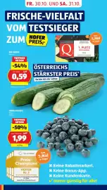 Hofer Flugblatt Seite 10: Heidelbeeren €1,99, Bio-Gurke €0,59